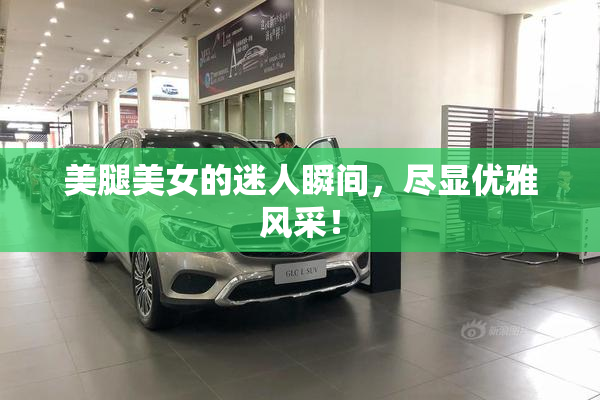 美腿美女的迷人瞬间，尽显优雅风采！
