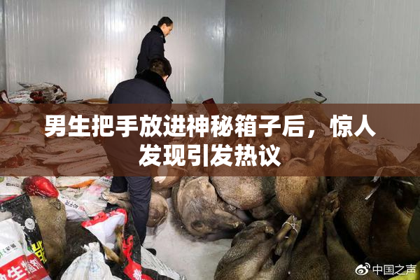 男生把手放进神秘箱子后，惊人发现引发热议
