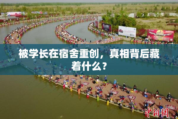 被学长在宿舍重创，真相背后藏着什么？