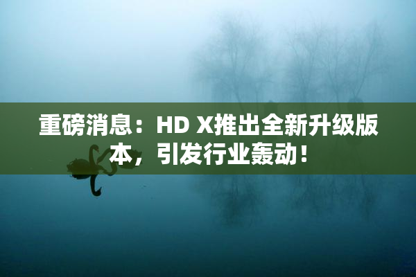 重磅消息：HD X推出全新升级版本，引发行业轰动！