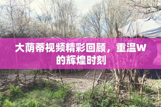 大荫蒂视频精彩回顾，重温W的辉煌时刻