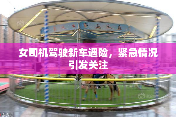 女司机驾驶新车遇险，紧急情况引发关注