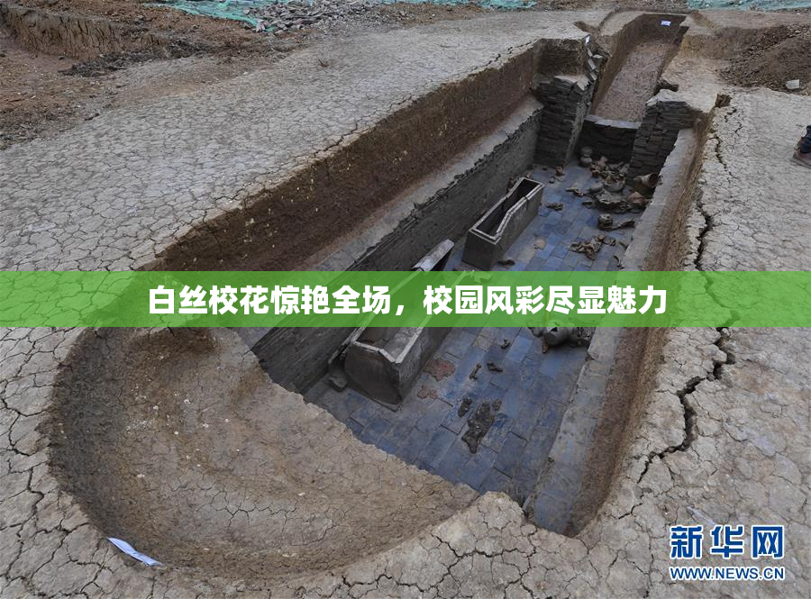 白丝校花惊艳全场，校园风彩尽显魅力