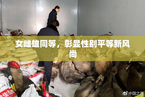 女雌雄同等，彰显性别平等新风尚