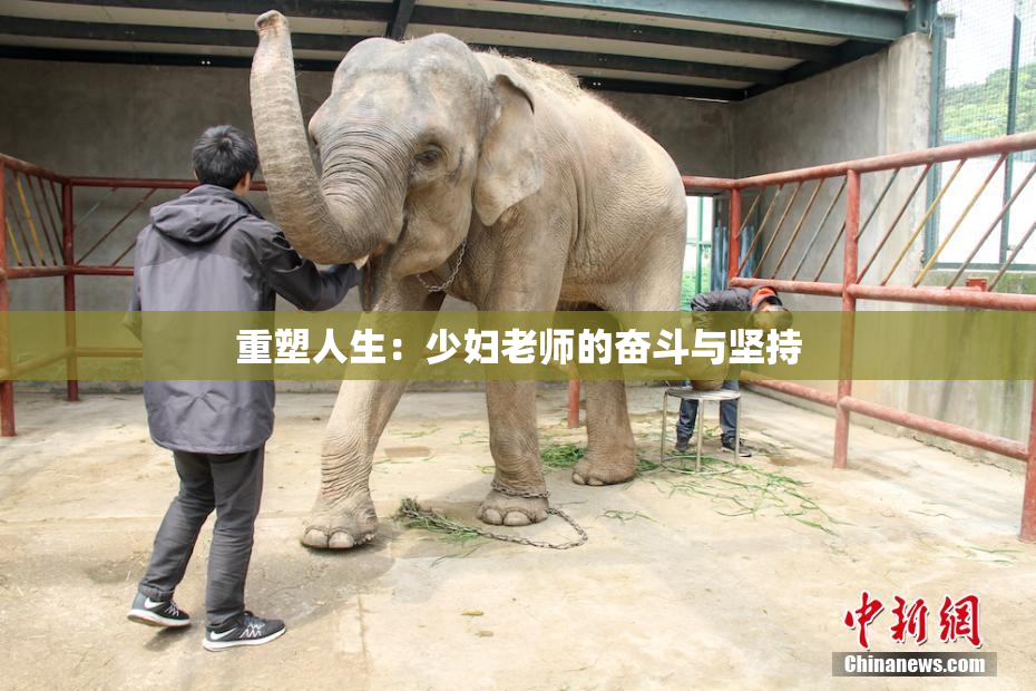 重塑人生：少妇老师的奋斗与坚持
