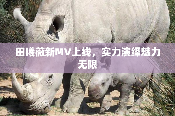 田曦薇新MV上线，实力演绎魅力无限