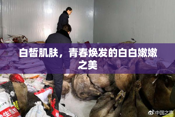 白皙肌肤，青春焕发的白白嫩嫩之美