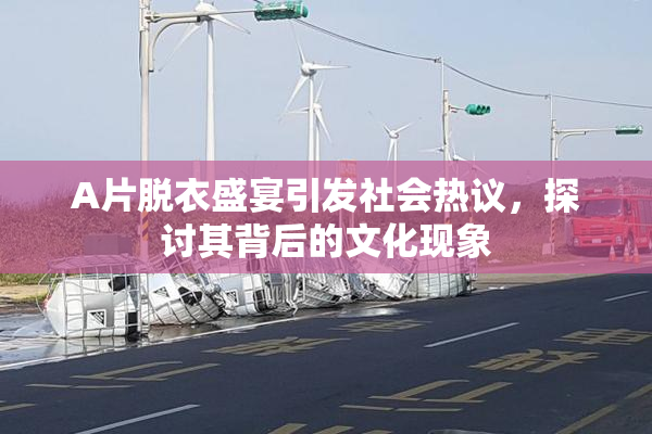 A片脱衣盛宴引发社会热议，探讨其背后的文化现象
