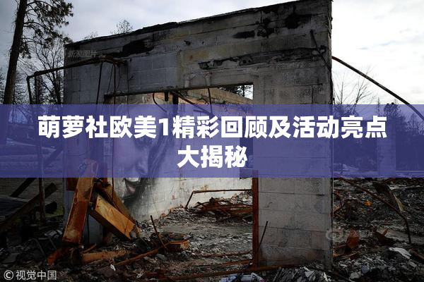 萌萝社欧美1精彩回顾及活动亮点大揭秘