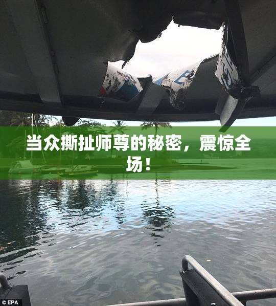 当众撕扯师尊的秘密，震惊全场！