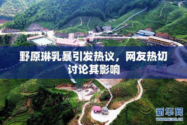 野原琳乳暴引发热议，网友热切讨论其影响