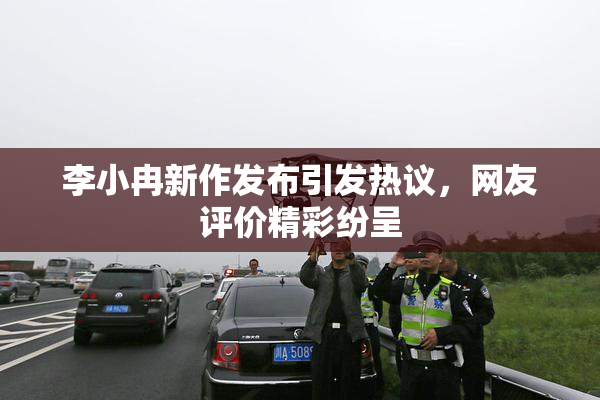 李小冉新作发布引发热议，网友评价精彩纷呈