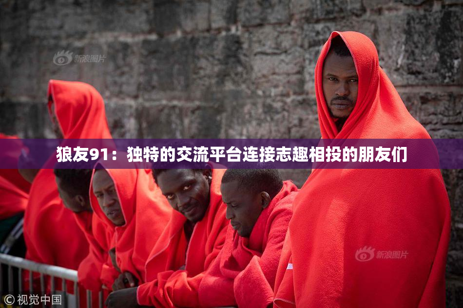 狼友91：独特的交流平台连接志趣相投的朋友们