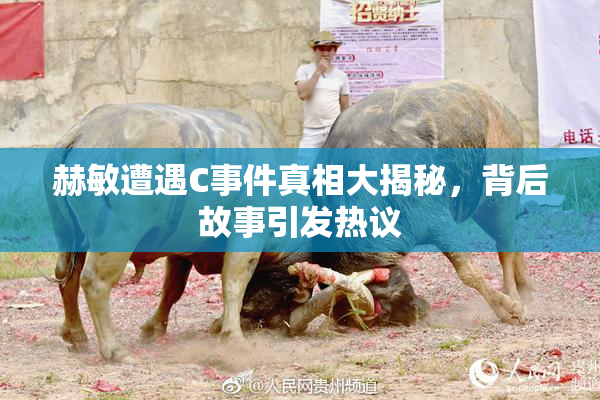 赫敏遭遇C事件真相大揭秘，背后故事引发热议