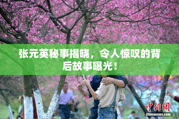 张元英秘事揭晓，令人惊叹的背后故事曝光！