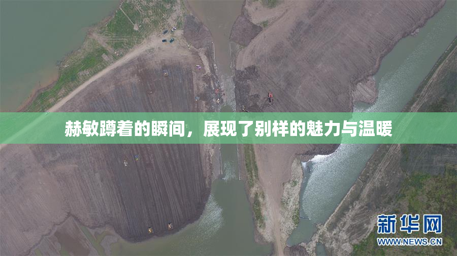 赫敏蹲着的瞬间，展现了别样的魅力与温暖