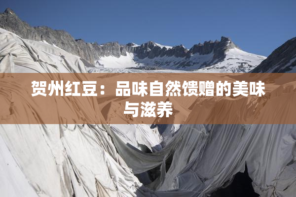 贺州红豆：品味自然馈赠的美味与滋养