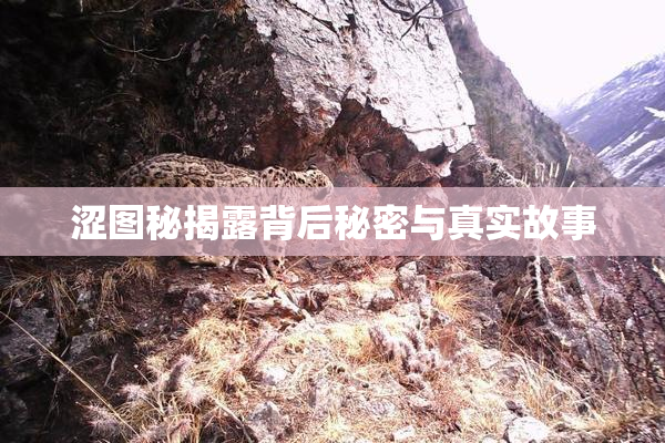涩图秘揭露背后秘密与真实故事