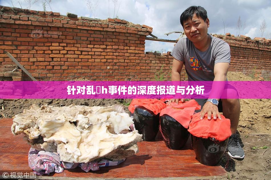 针对乱婬h事件的深度报道与分析