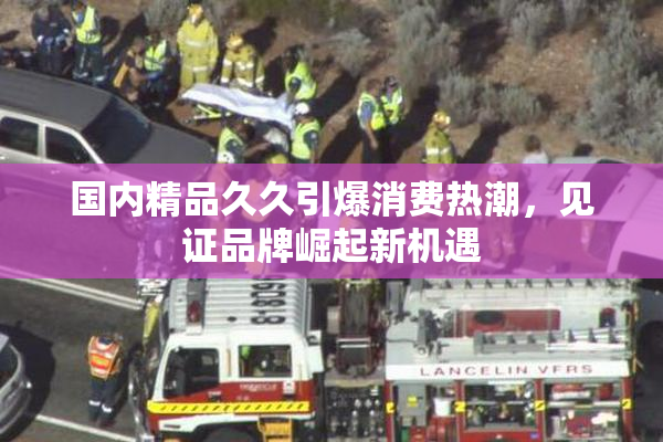 国内精品久久引爆消费热潮，见证品牌崛起新机遇
