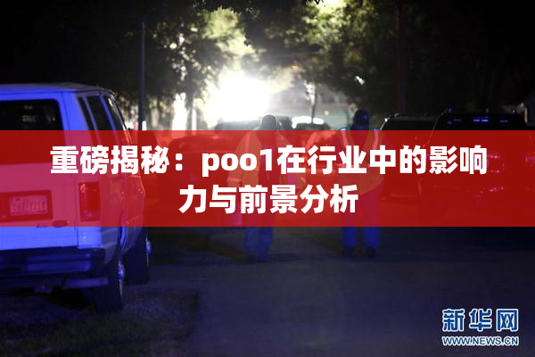 重磅揭秘：poo1在行业中的影响力与前景分析