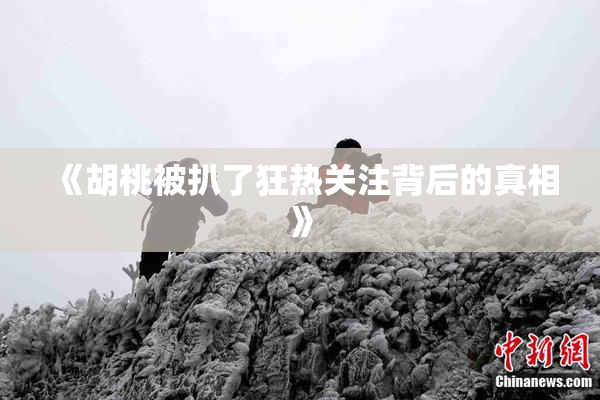 《胡桃被扒了狂热关注背后的真相》