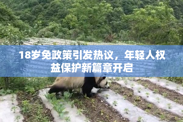 18岁免政策引发热议，年轻人权益保护新篇章开启