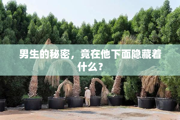 男生的秘密，竟在他下面隐藏着什么？