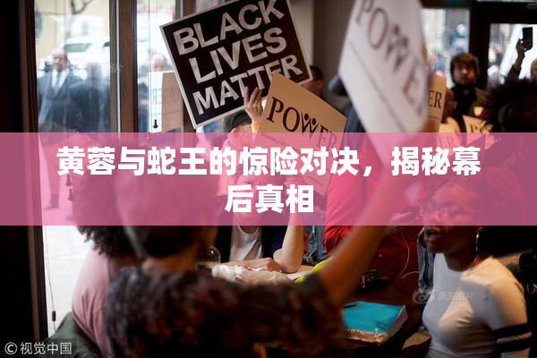 黄蓉与蛇王的惊险对决，揭秘幕后真相