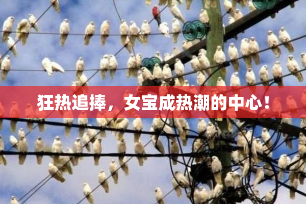 狂热追捧，女宝成热潮的中心！
