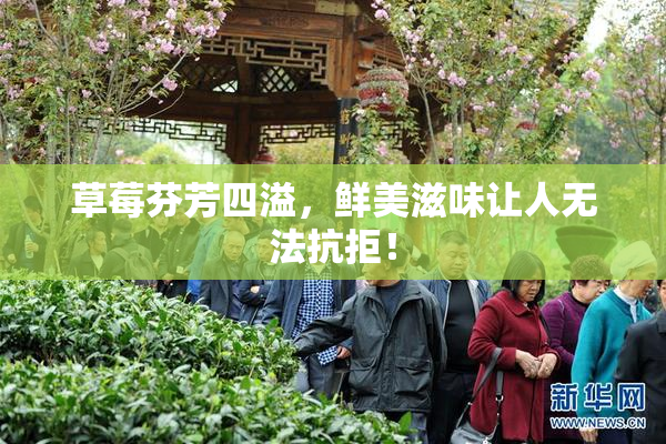 草莓芬芳四溢，鲜美滋味让人无法抗拒！
