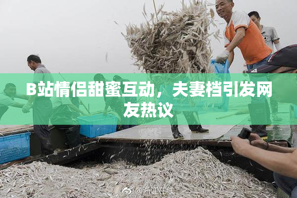 B站情侣甜蜜互动，夫妻档引发网友热议