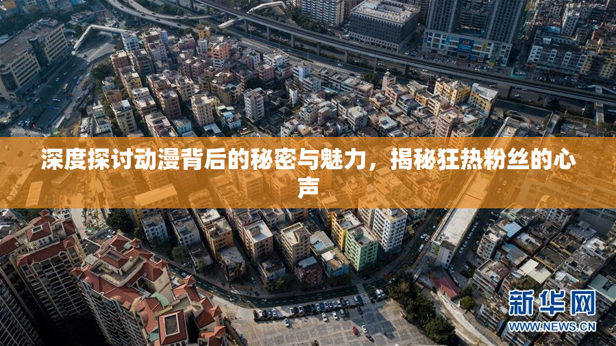 深度探讨动漫背后的秘密与魅力，揭秘狂热粉丝的心声