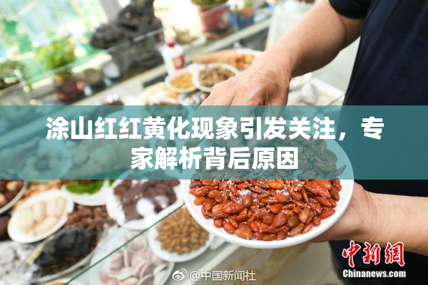 涂山红红黄化现象引发关注，专家解析背后原因