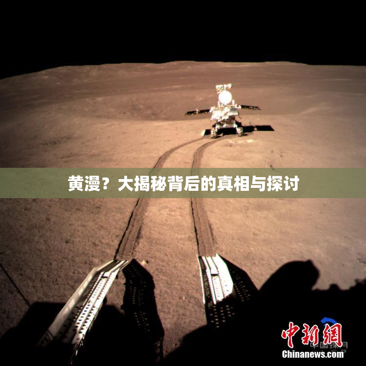 黄漫？大揭秘背后的真相与探讨