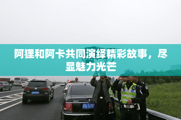 阿狸和阿卡共同演绎精彩故事，尽显魅力光芒