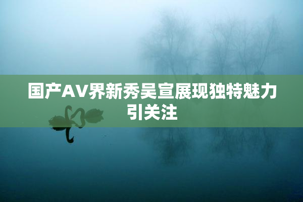 国产AV界新秀吴宣展现独特魅力引关注