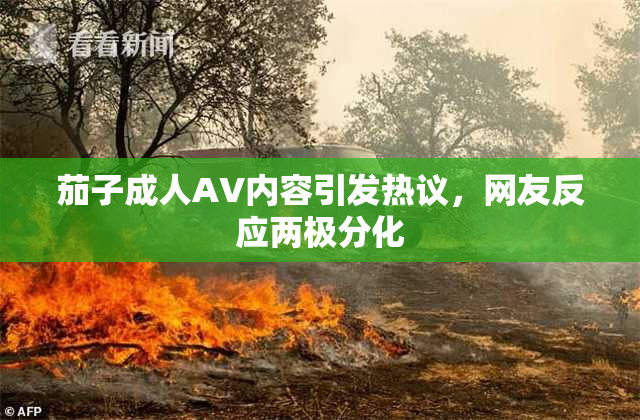 茄子成人AV内容引发热议，网友反应两极分化