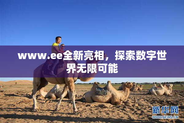 www.ee全新亮相，探索数字世界无限可能