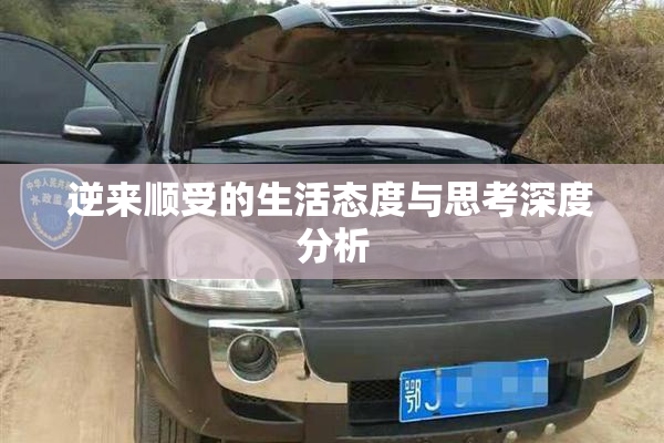 逆来顺受的生活态度与思考深度分析