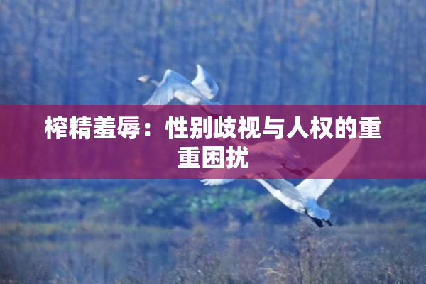 榨精羞辱：性别歧视与人权的重重困扰