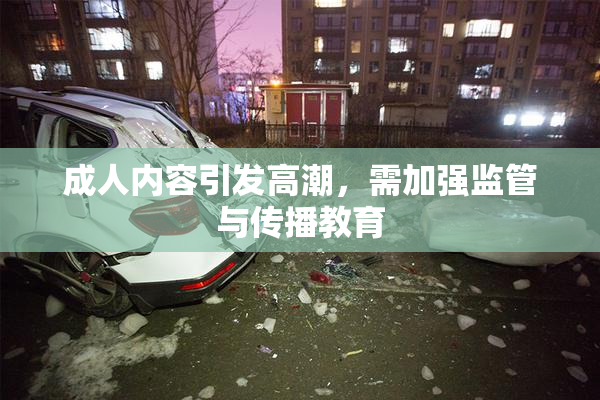 成人内容引发高潮，需加强监管与传播教育