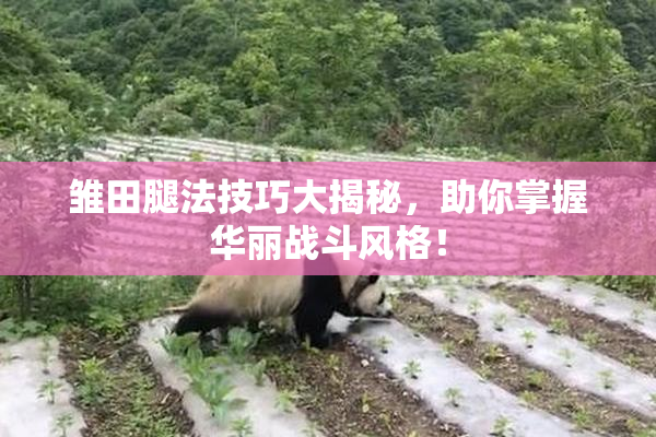 雏田腿法技巧大揭秘，助你掌握华丽战斗风格！