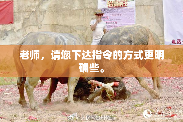 老师，请您下达指令的方式更明确些。