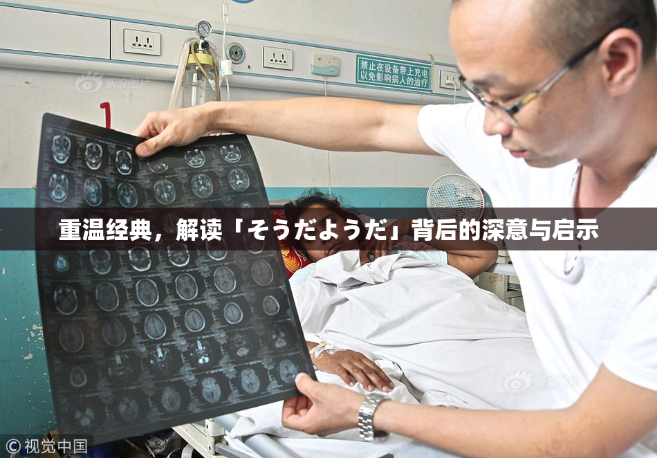 重温经典，解读「そうだようだ」背后的深意与启示
