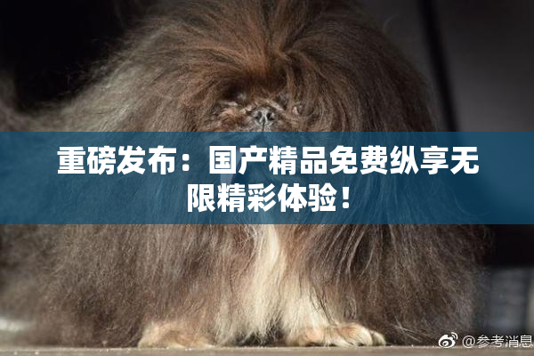 重磅发布：国产精品免费纵享无限精彩体验！