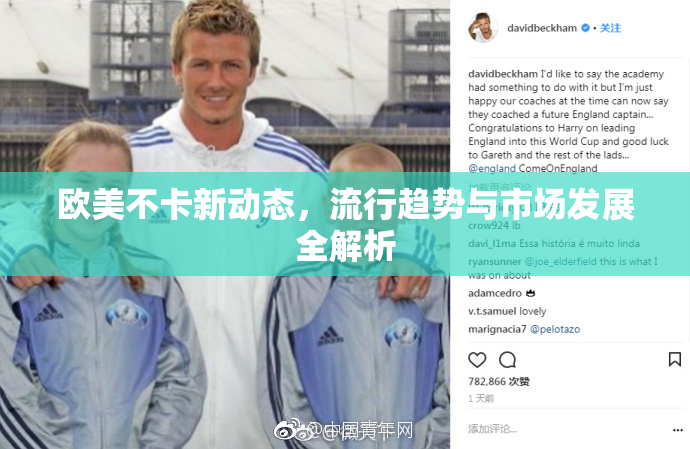欧美不卡新动态，流行趋势与市场发展全解析