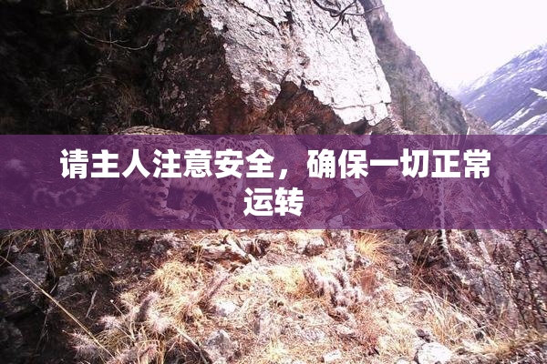 请主人注意安全，确保一切正常运转