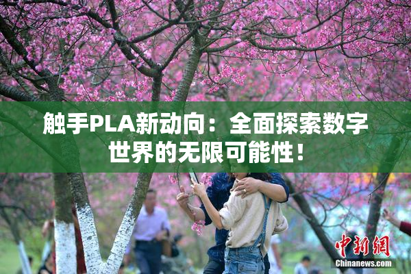 触手PLA新动向：全面探索数字世界的无限可能性！