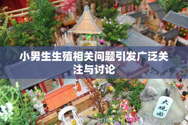 小男生生殖相关问题引发广泛关注与讨论